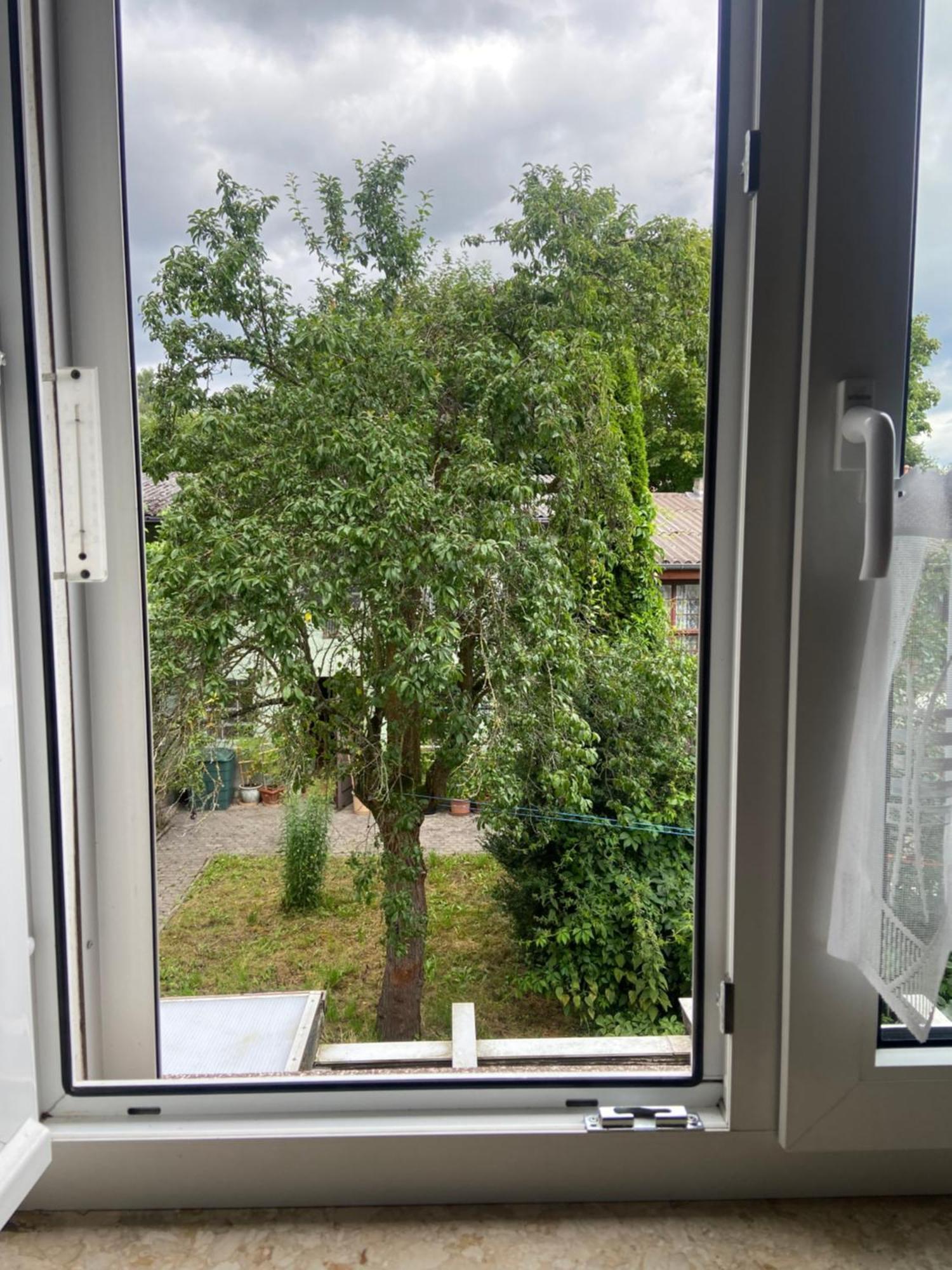 Stadtzentrumnahe Wohnung An Der Gruenen Aue, Kostenfreier Parkplatz Fulda Eksteriør bilde